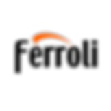 Ferroli boiler service