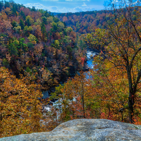 Planning Your Trip to Vintage Pickin'® + local recommendations, good eats & more pickin'!