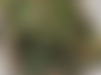 New Recipe: Ground Lamb Summer Casserole