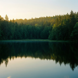 Conservation Land Acquisition