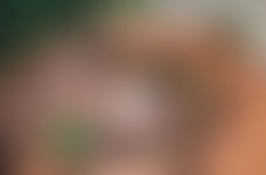 Ideias de decks para sua casa e jardim