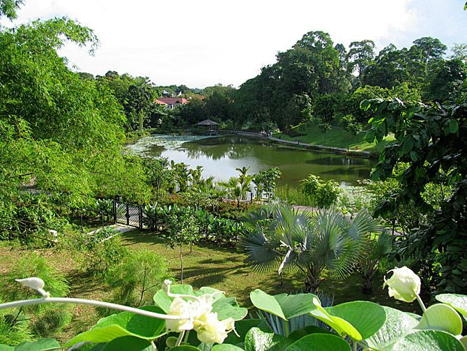 singapure.jpg