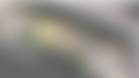 Appel à candidatures fresque au sol - Rouen