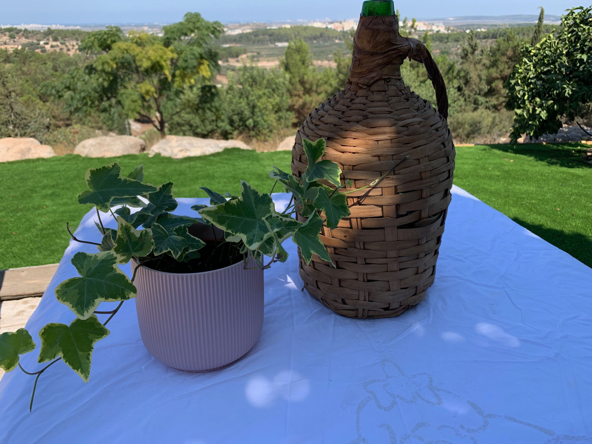 אנטון - מרהיב לשימור יין