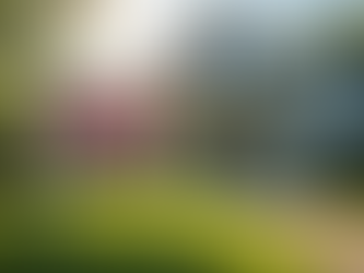 Understanding the Benefits of Title Insurance