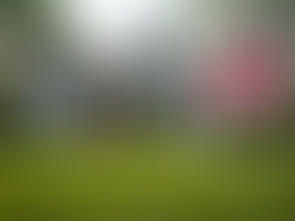 The Importance of Title Insurance for Buyers