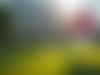 Understanding the Importance of Title Insurance