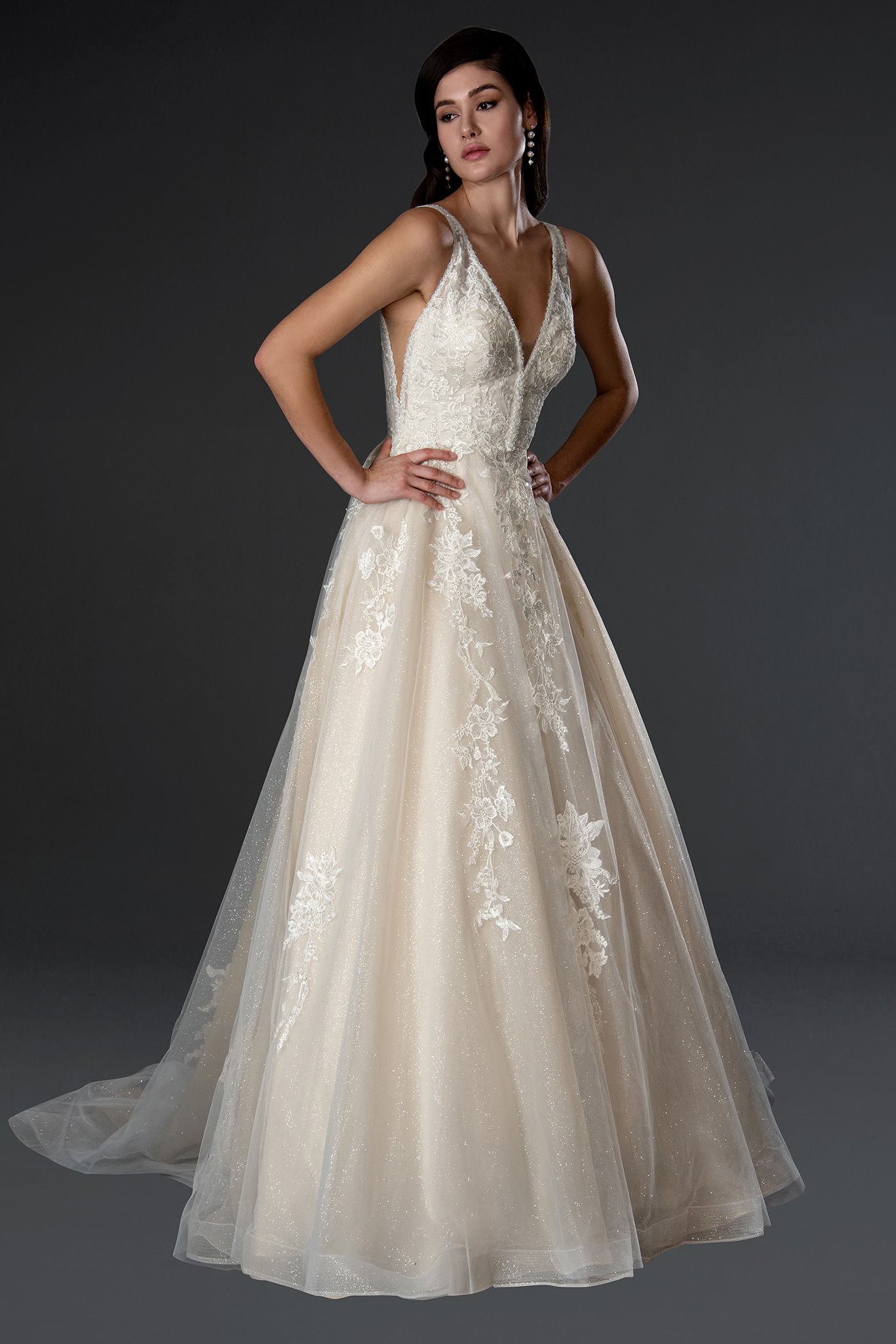 Embroidered Embellished Ballgown Bridal Gown