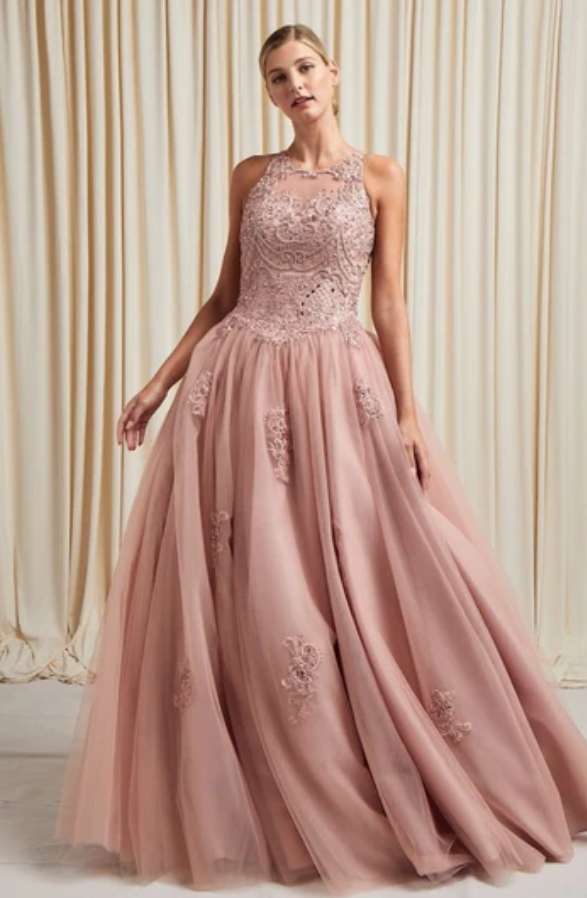 Scoop Neck Sleeveless Embellished Lace Ball Gown