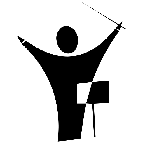 nbso logo-01.png