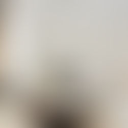 Living Room/Coffee Table