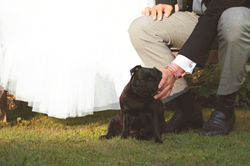 Candid Outdoor Wedding Photography in Surrey