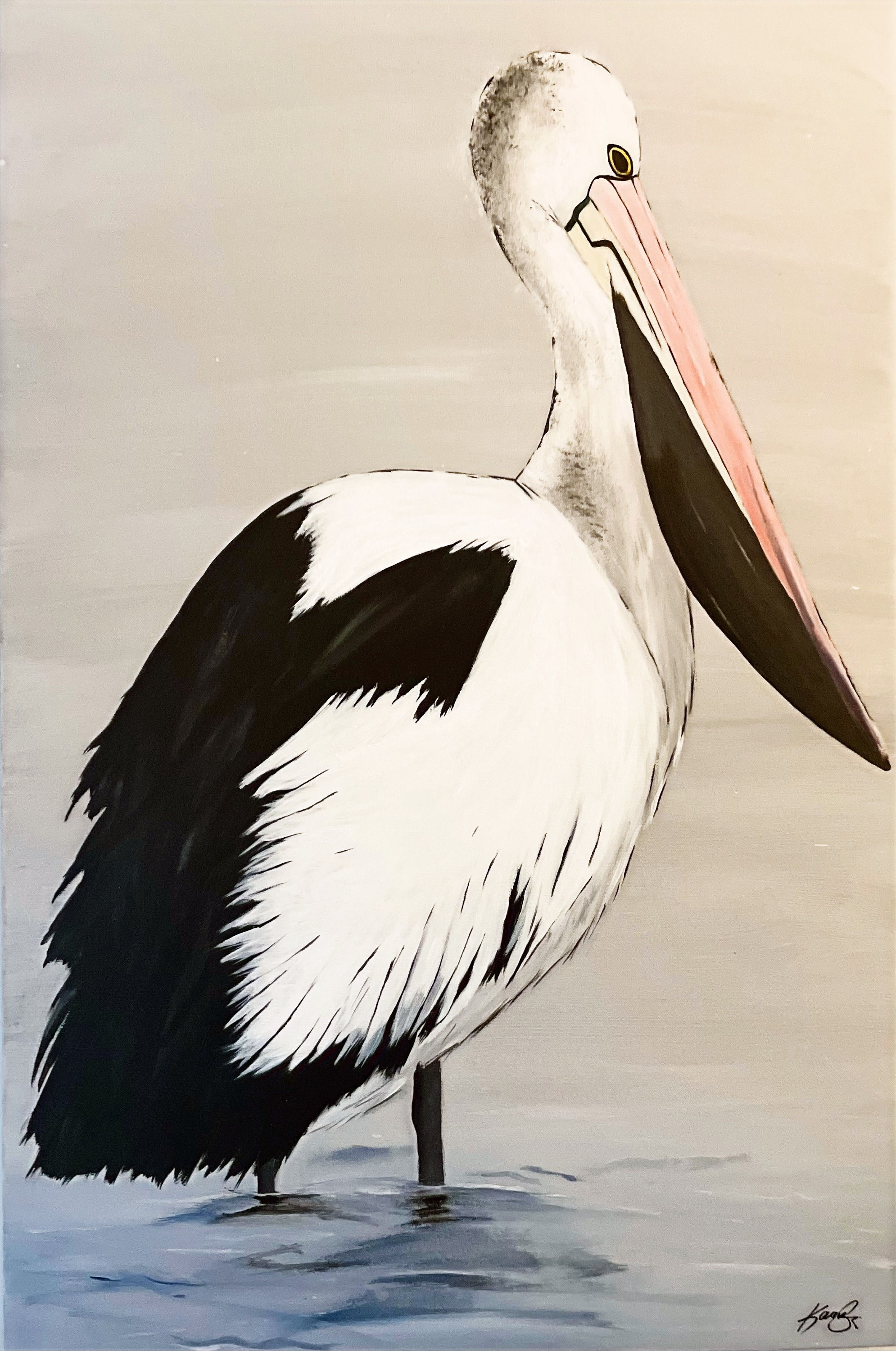 Pelican