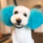 Bailey