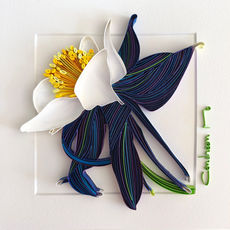 ANCOLIE BLEUE , papert art, Cendreen Mo