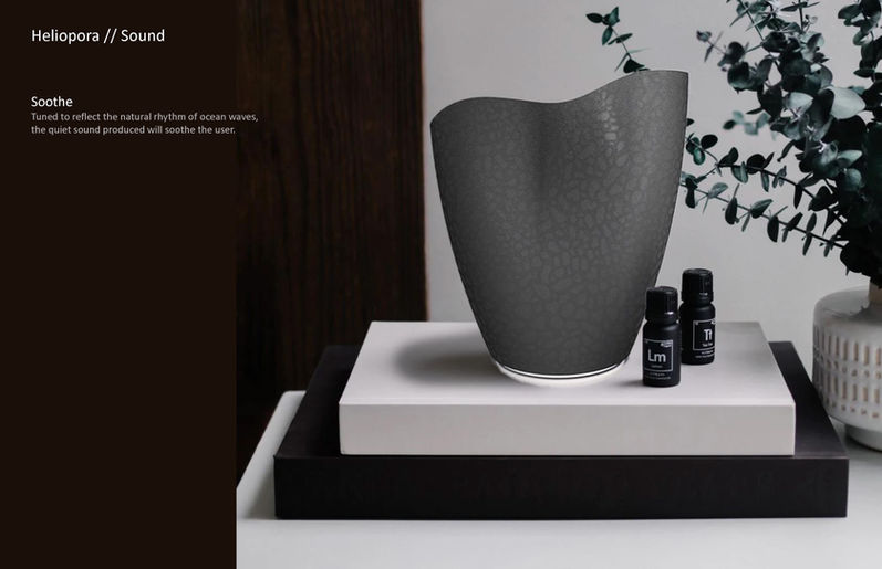 Heliopora Cover_Page_11.jpg