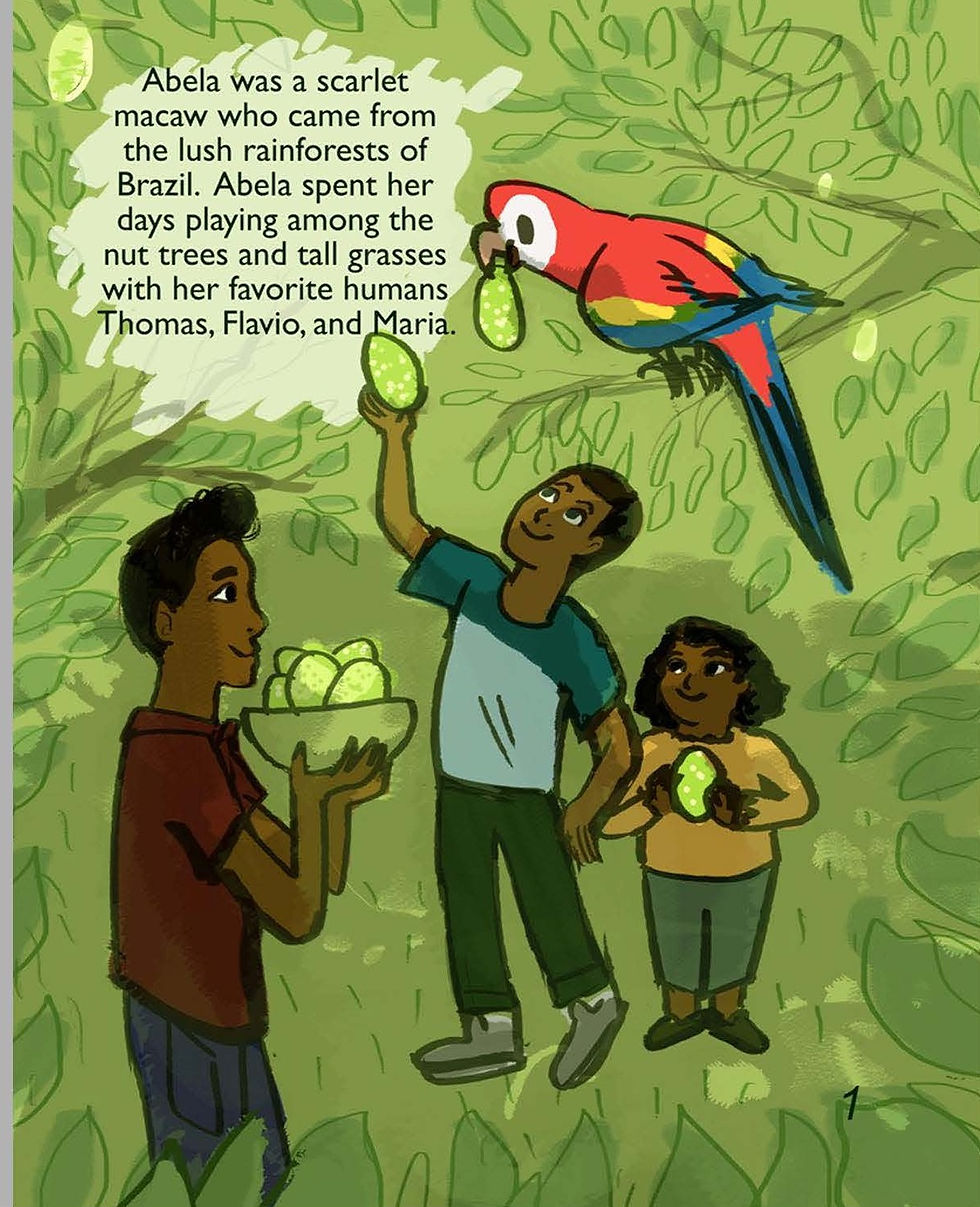 Abela's Adventure — Abela the scarlet macaw playing in the Brazilian rainforest with Thomas, Flavio, and Maria.