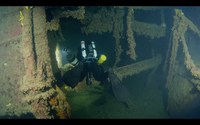 diver looking for more to discover