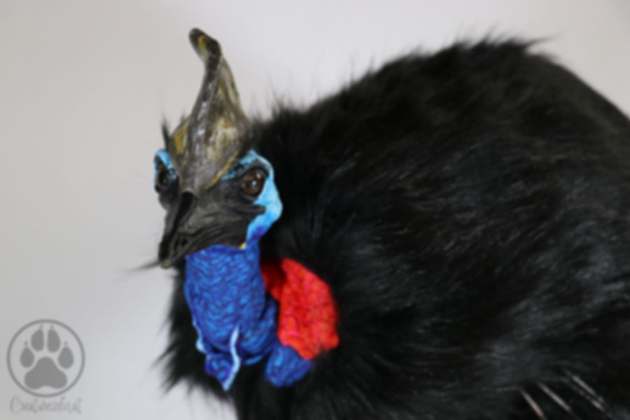 Cassowary Artdoll