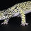 Thumbnail: Leopard Gecko poseable artdoll