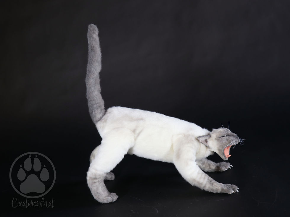 Thumbnail: Yawning Cat - Siamese artdoll