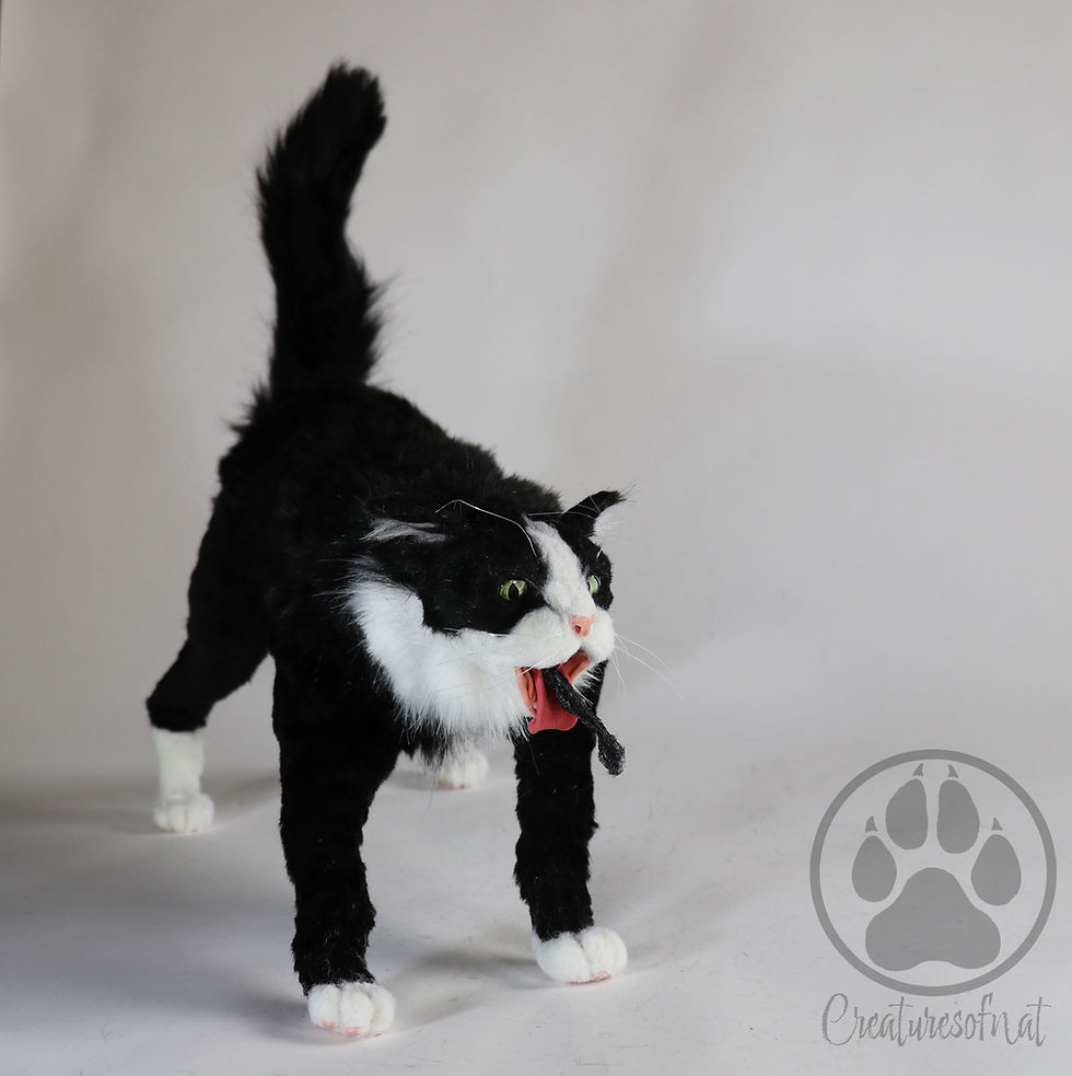 Thumbnail: Felix the Spew Cat - Tuxedo cat artdoll