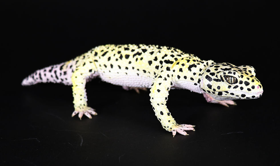 Thumbnail: Leopard Gecko poseable artdoll