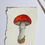 Thumbnail: Amanita Mushroom - Watercolour Paintings