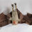 Thumbnail: Hammerhead Bat Artdoll