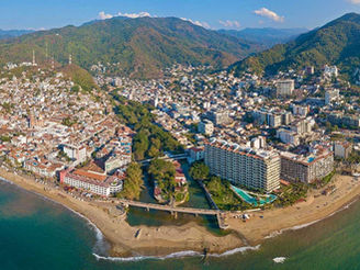 Árboles, sombra y hogar: la urgencia de plantar especies nativas en Puerto Vallarta