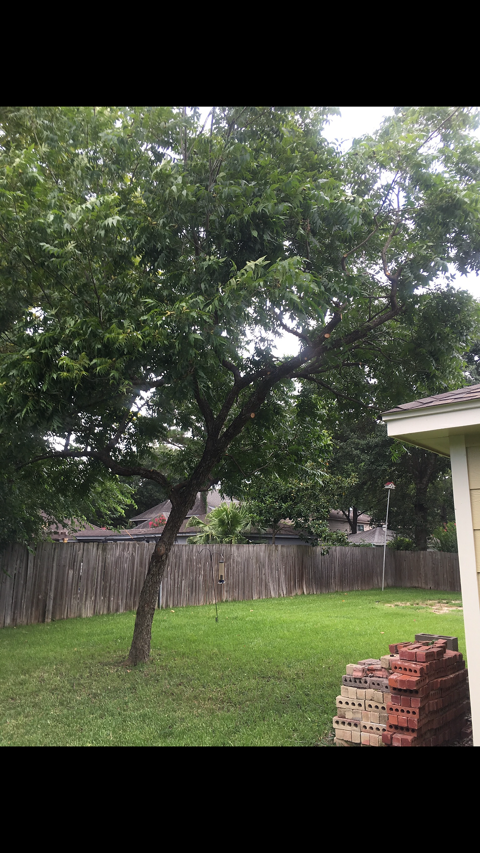 87C1A181-75F9-42E2-A6EF-82EFA8B12FD8