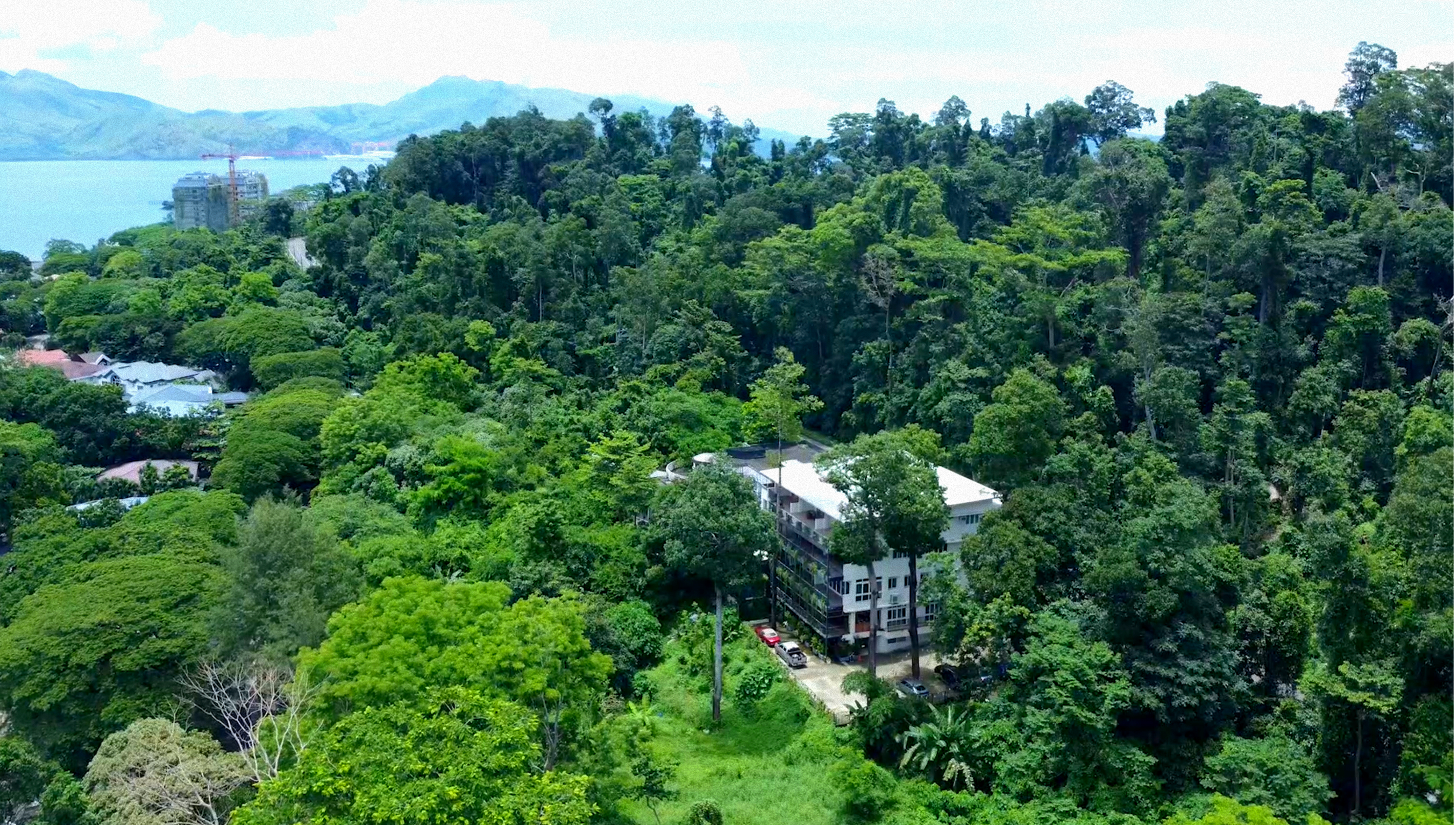 A serene view of the lush natural surroundings at Vine and Canopy in Subic, Zambales.