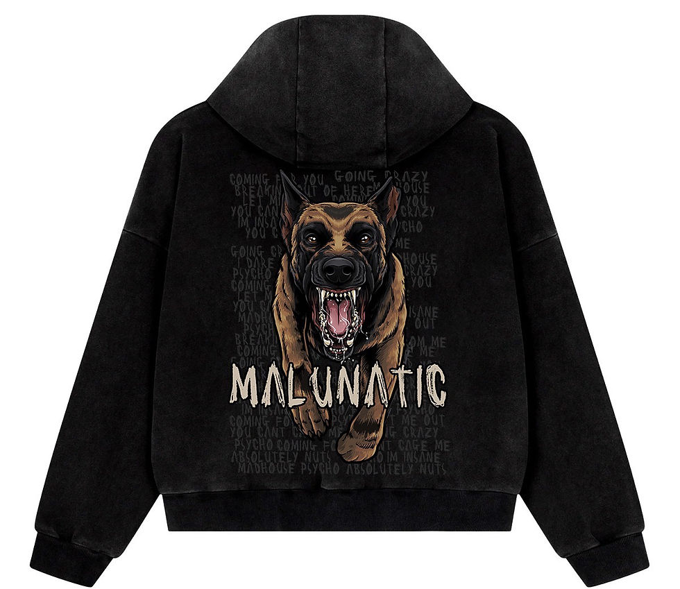 Thumbnail: “MALUNATIC” Hoodie