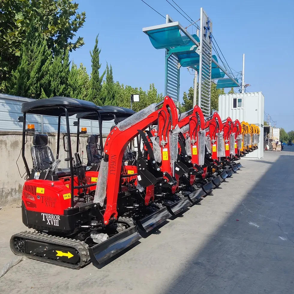 Thumbnail: 4,000 lbs Terror XVIII Mini Excavator, EPA Certified KUBOTA D902 Diesel Machine