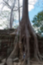 Angkor Wat, Cambodia