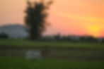 Siem Reap, Cambodia