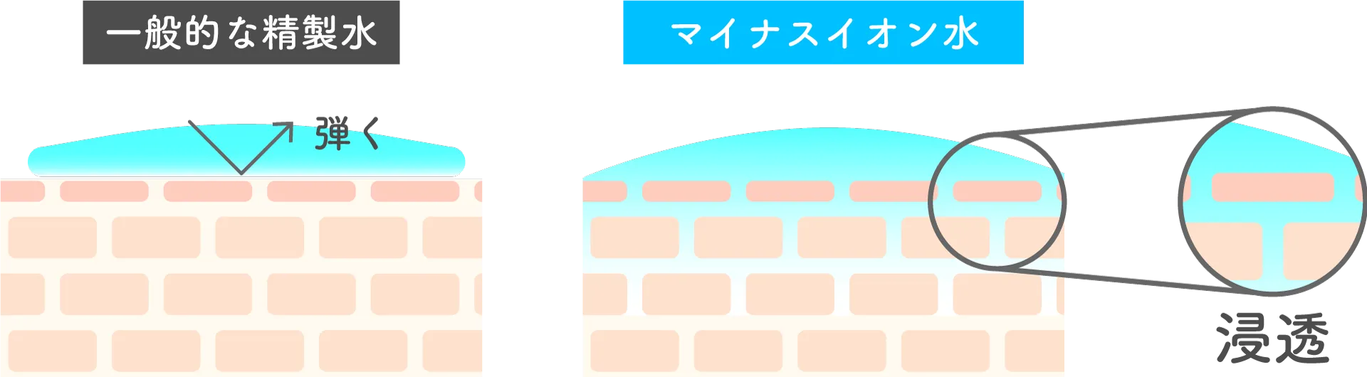 精製水とマイナスイオン水の違い
