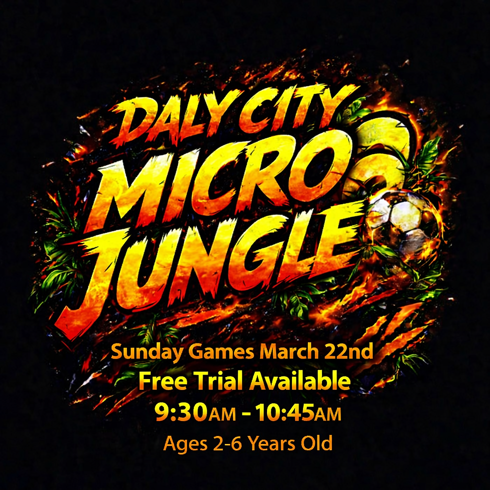 DALY CITY MICRO SOCCER (6 sessions)