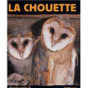 la chouette.jpg