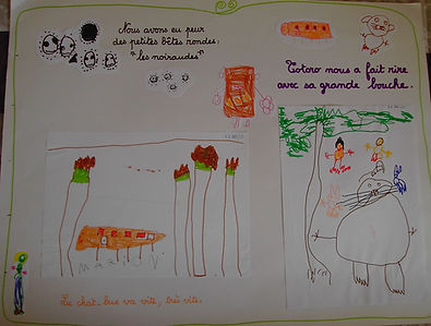 totoro donner un avis