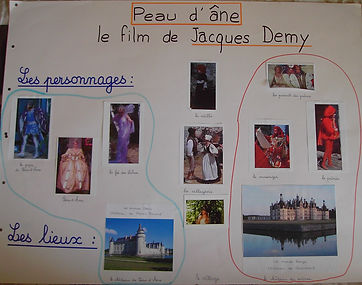 peau d'ane structure