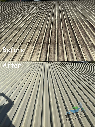 roof soft washing