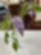 Horticulture Unclassified
