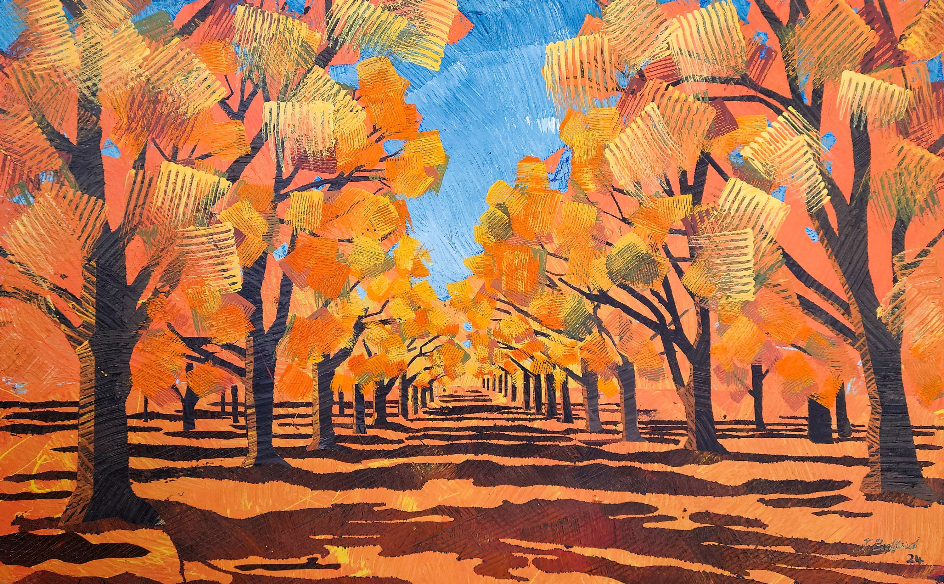Elm trees, Autumn, Armidale. (Signed print)