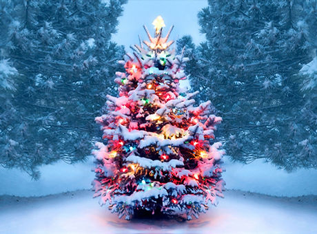 christmas-tree-gettyimages-1072744106.jp