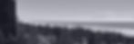 nuaxion_banner_edited.jpg