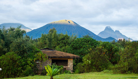 Moutain Gorilla View Lodge