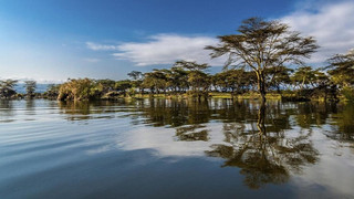 safari Kenya