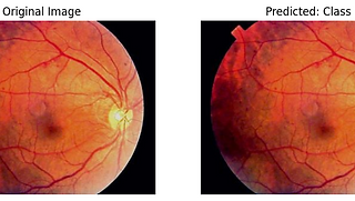 Swin model output.png