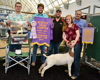 Reserve Goat- Heidi Messerley.jpeg
